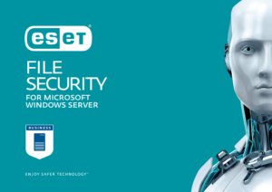 ESET_EFS-for-Windows-Server_2017_PO_PRESS-1-300x212.jpg
