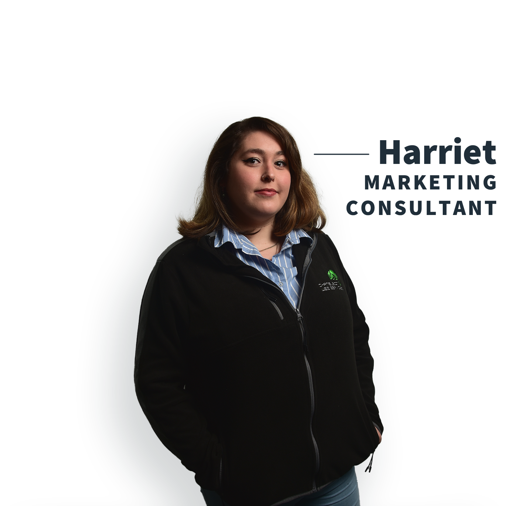 Harriet Digital Marketing