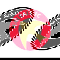Wallsal FC Logo